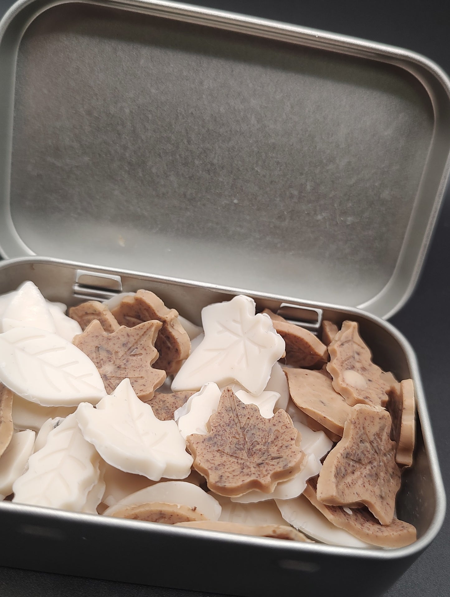 Travel Soap