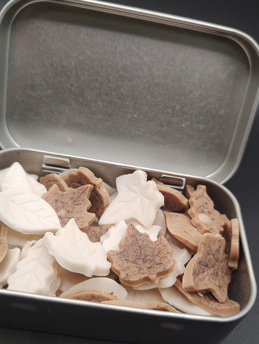 Travel Soap