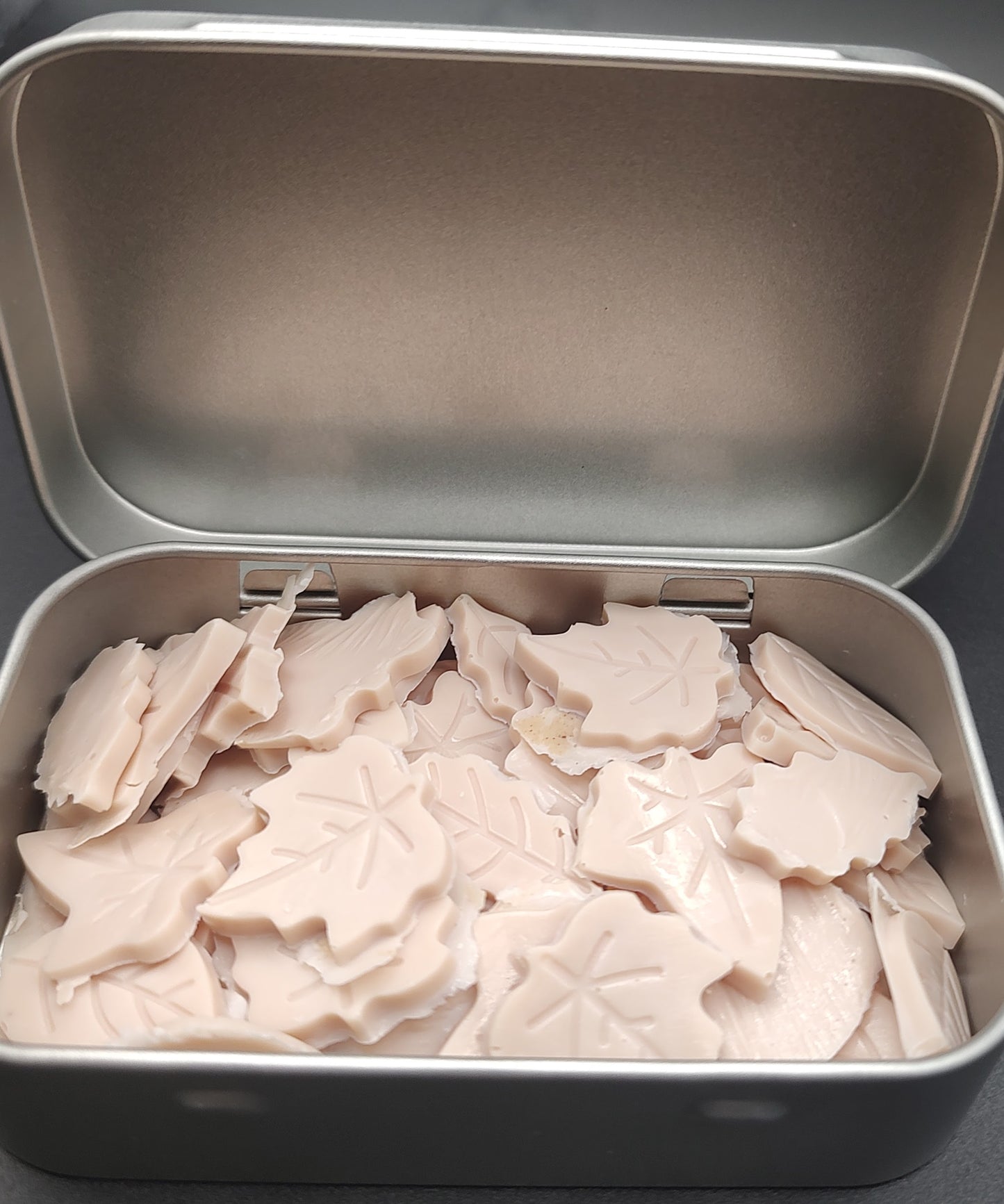 Travel Soap