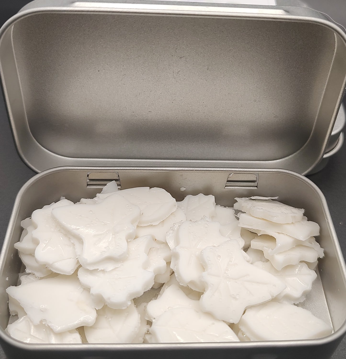 Travel Soap